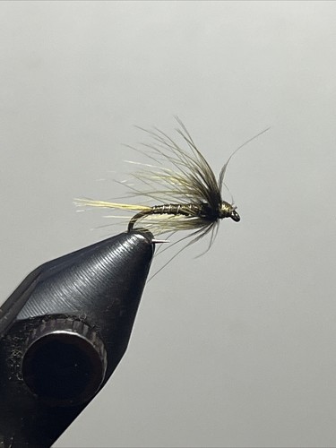 Three bwo soft - soft,