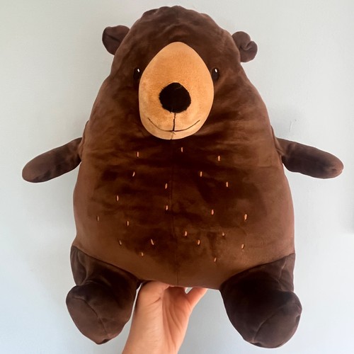 Home squishy brown bear - home,