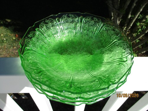 Jeannette green cherry - jeannette,