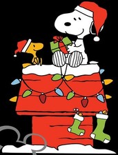 charlie brown and snoopy art