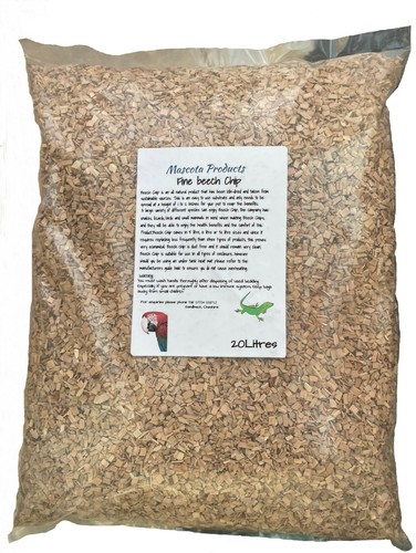 Beech wood chips - wood, medium