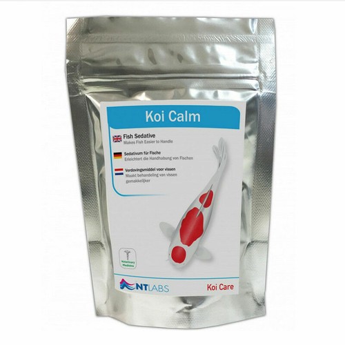 Labs koi calm fish stress - labs,