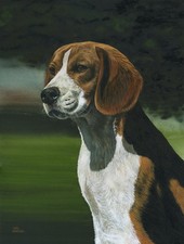 Beagle Limited Edition Dog Print - approx 16 x 12