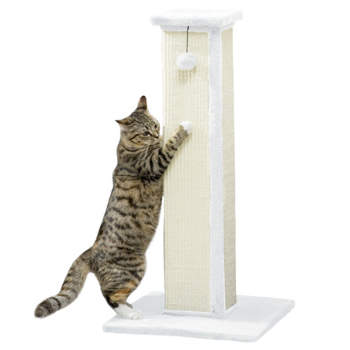 Cat scratching post - cat,