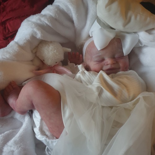 Beautiful reborn baby cecilia - baby,