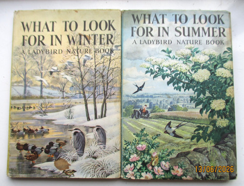 What look for winter - to,