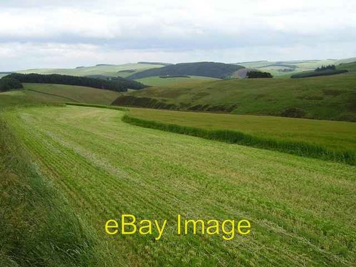 Photo 6x4 early cut heriot - early, the