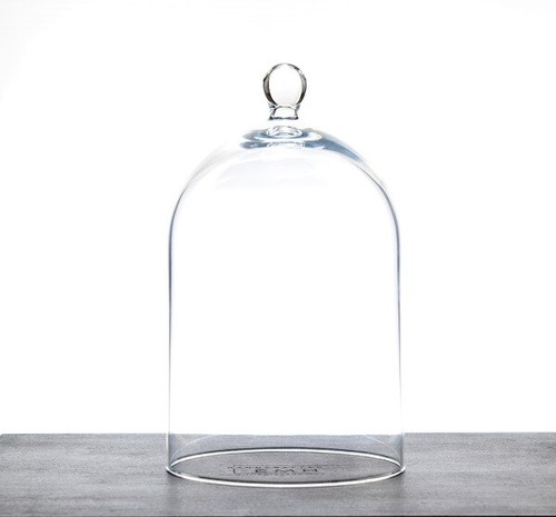 Glass display dome medium - display,
