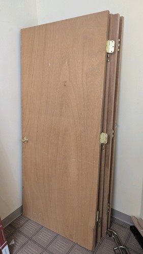 Interior hollow core - 4, wood