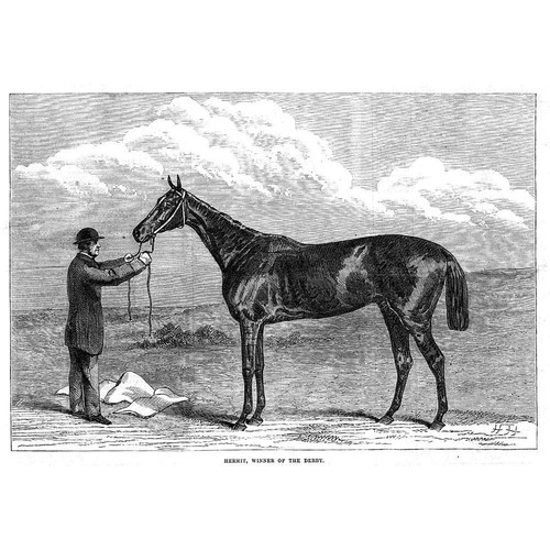 Horse racing hermit winner - horse,