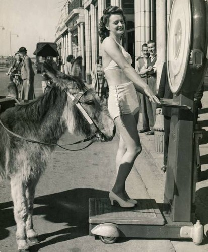 Holidaymaker kitty beasley - holidaymaker,