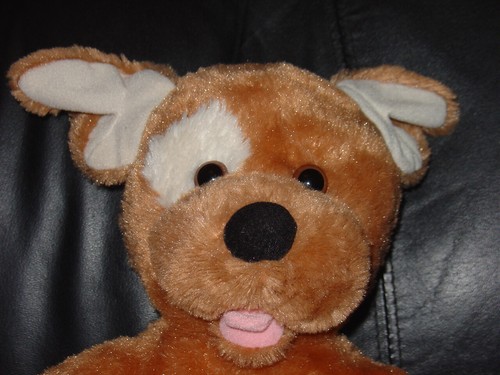 Beautiful brown build bear - brown,