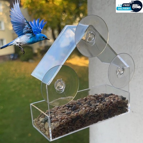 Transparent window feeder - transparent,