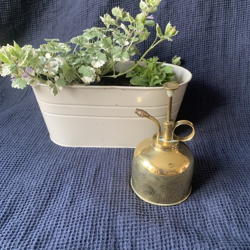 Small brass plant - plant, mister