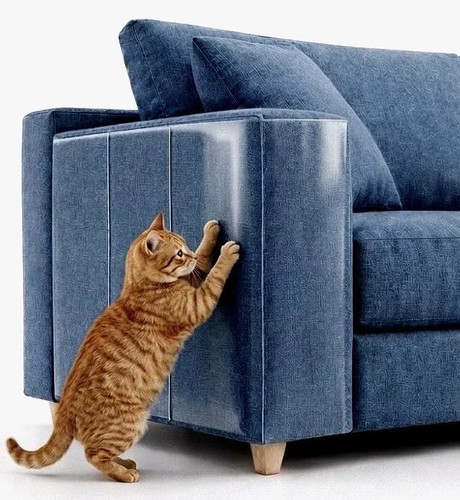 Ftstc anti cat scratch - ftstc,