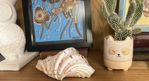 Large giant clam shell - clam,