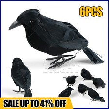 6PCS Black Crow Raven Bird
