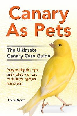 Canary pets - canary, pets: