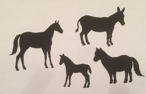 Horse foal pony donkey - 12, x