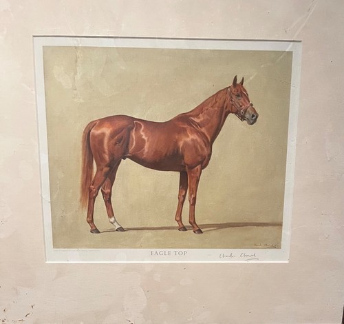 Race horse limited edition - horse,