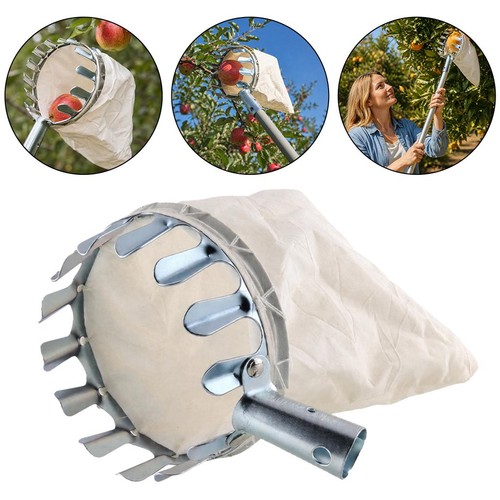 Apple picker fruit - picker,