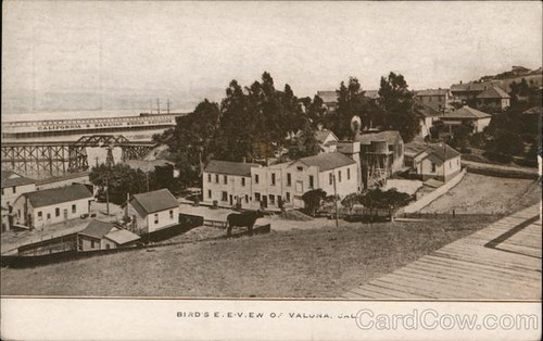 Valona california birdseye - valona,,