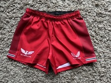 Castore 2023-24 Scarlets Rugby