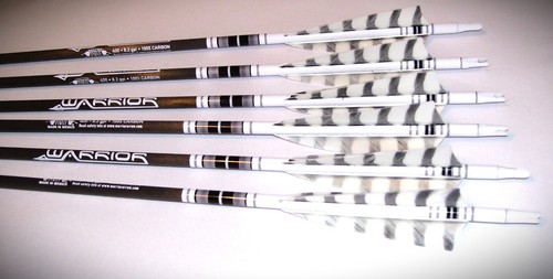 Gold tip warriors arrows for