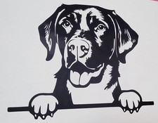 1x Labrador Dog Vinyl Sticker Decal Bumper Window Glass Car Van Camper 6x5inch
