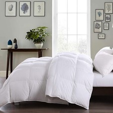 Luxury duck feather down - feather,