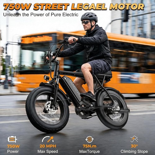 Tamobyke 749w 9mph 36v - 749w, 19.9mph