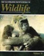 Orbis : The Illustrated