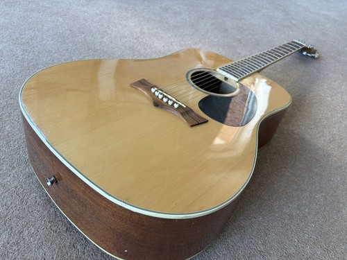 Peavey briarwood acoustic - briarwood,