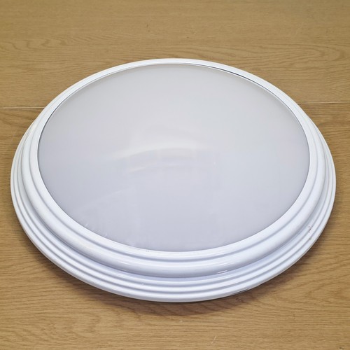 Ceiling wall dome - ceiling,