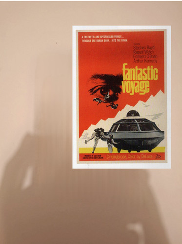Fantastic voyage 1966 - voyage, us
