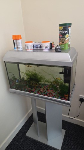Fish tank aquarium complete - fish,