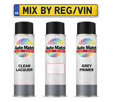 Aerosol Spray Paint Kit Mixed