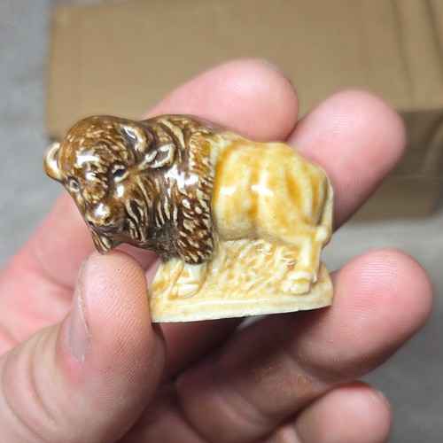 Wade bison smaller size - wade,