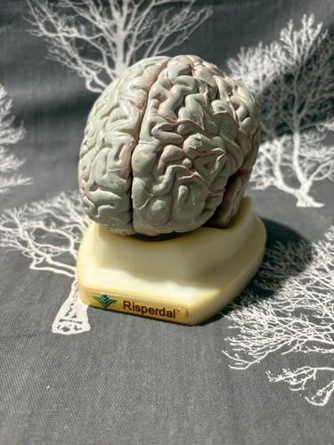Risperdal model brain - model, good