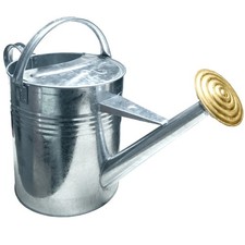 Gallon metal watering can - metal, 8l
