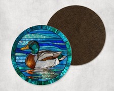 Cute Mallard Duck Bird Winter