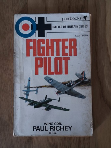 Fighter pilot paul richey - by,