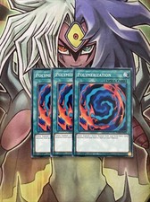 SDRR-EN031 x3 Polymerization