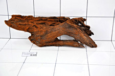 Aquarium Natural Driftwood
