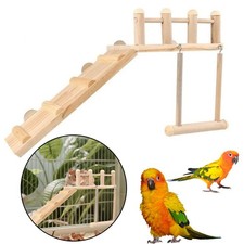 Pet Cockatiel Parrot Bird Cage