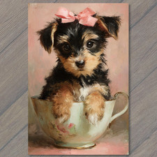 POSTCARD Yorkshire Terrier