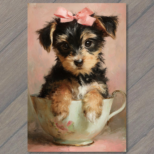 Postcard yorkshire terrier - postcard,