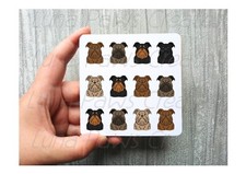 Brussels Griffon Coaster