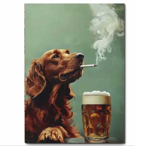 Irish setter with pint - irish,