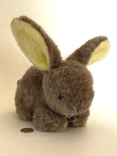Small PMS brown bunny rabbit